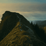 Wilderness Reset