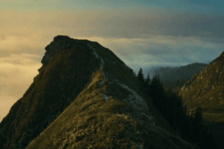 Wilderness Reset