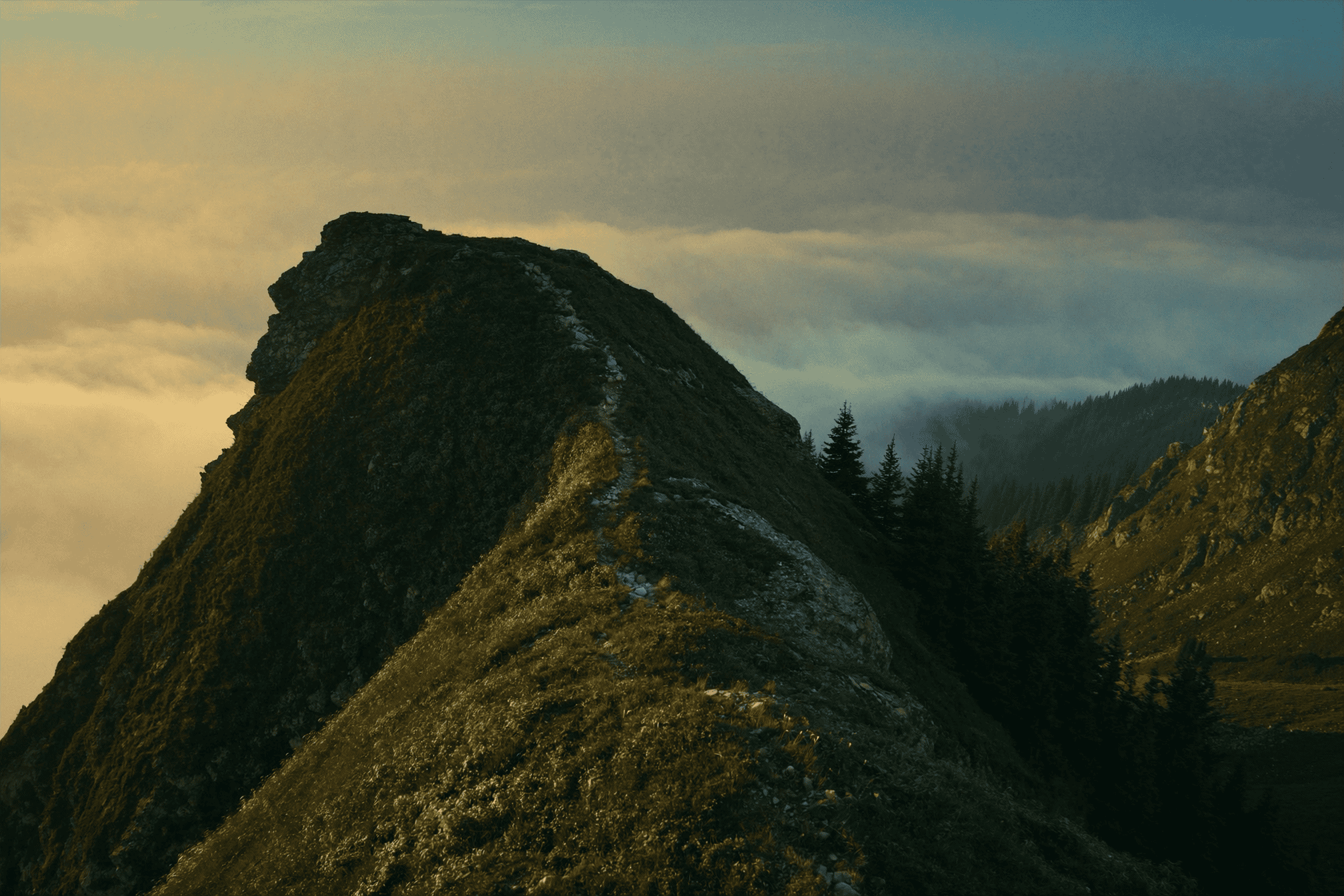 Wilderness Reset